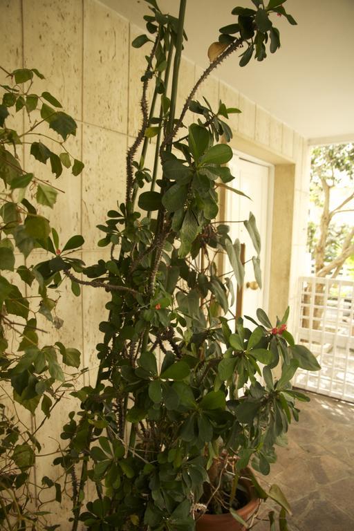 Casa Mimi B&B Pescara Exterior foto